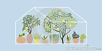 Greenhouse with fruit trees, herbs and plants in pots. Vector Illustration