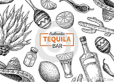 Tequila bar vector label. Mexican alcohol drink drawing. Bottle Vector Illustration