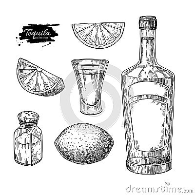 Tequila bottle, salt shaker and shot glass with lime. Mexican alcohol drink vector drawing Vector Illustration