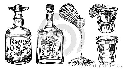 Tequila bottles and salt shaker. Glass Shots with Alcoholic Drink and Lime. Engraved hand drawn vintage sketch. Woodcut Vector Illustration