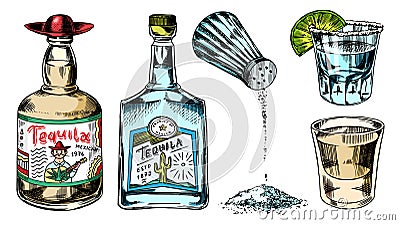 Tequila bottles and salt shaker. Glass Shots with Alcoholic Drink and Lime. Engraved hand drawn vintage sketch. Woodcut Vector Illustration
