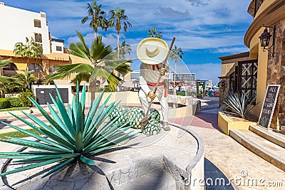 Tequila shop in Los Cabos marina in Cabo San Lucas, Los Cabos, a departure point for cruises, marlin fishing and lancha Editorial Stock Photo