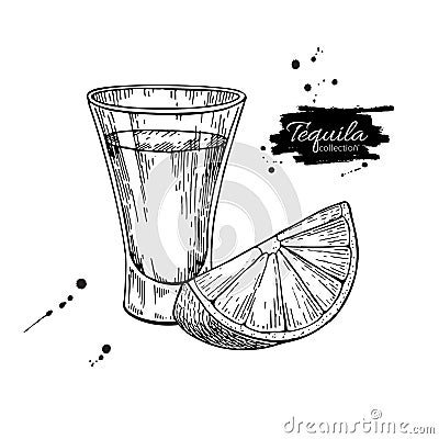 Tequila shot glass with lime. Mexican alcohol drink vector drawing. Vector Illustration