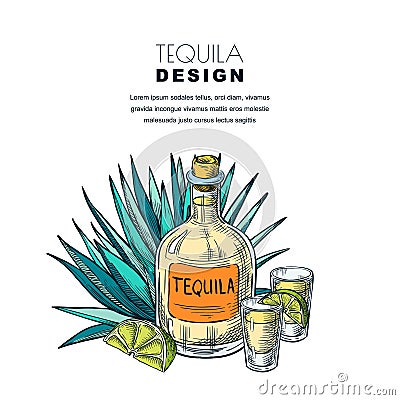 Tequila sketch vector illustration. Bar menu, label, package design. Bottle, shot glass, agave isolated on white Vector Illustration