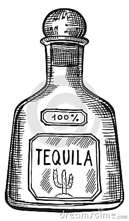 Tequilla bottle engraving. Mexican alcohol drink sketch Vector Illustration