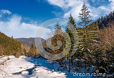 Tereblya river of Carpathian mountains in winter Stock Photo