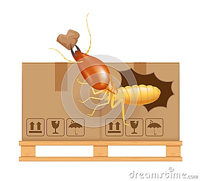 Termite bites eat paper boxes brown isolated on white background, termites and wood pallet with cardboard boxes in factory Vector Illustration