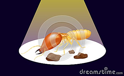 Termite on the dark background and spotlight shine, insect species termite ant eaten wood decay and damaged wooden Vector Illustration