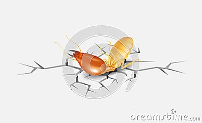 Termite, dead termites on crack white grey background, dead termite on cement texture with destruction and damage concept Vector Illustration