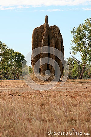 Termite Mound - Kakadu National Park, Australia Stock Photo