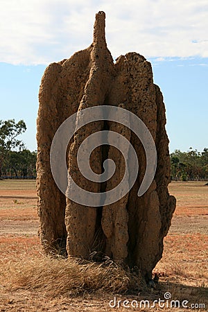 Termite Mound - Kakadu National Park, Australia Stock Photo