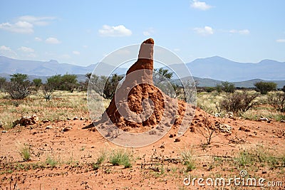 Termite mound, Namibia, Africa Stock Photo