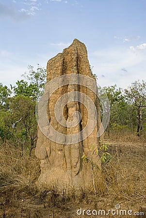 Termite mound in outback australia Stock Photo