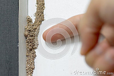 Termite problem in house Stock Photo