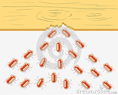 Termites eat piece of wood. Vector flat style illustration. Cartoon Illustration