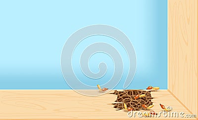 Termites at window, termite nest at wooden wall, nest termite at wood decay the door sill architrave, nest termite background Vector Illustration