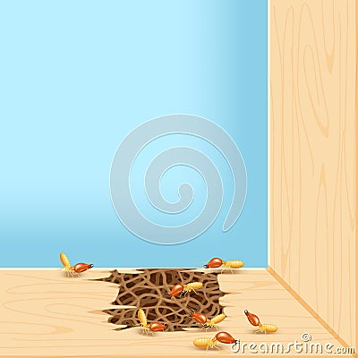 Termites at window, termite nest at wooden wall, nest termite at wood decay the door sill architrave, nest termite background Vector Illustration