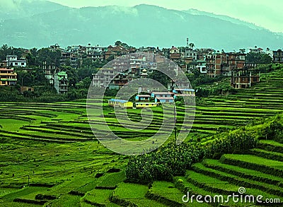 Terrace Farming - Step Farming in Himalayan Mountains in Asia - Countryside with Colorful Houses and Green Landscape Stock Photo