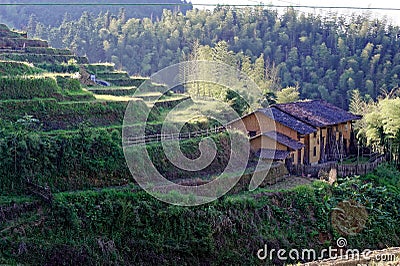 Hilly terraced field Stock Photo