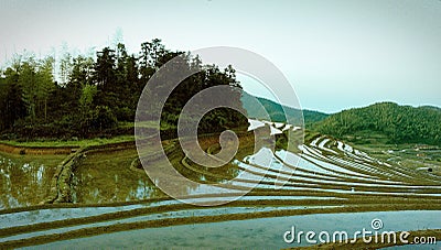 Hilly terraced field Stock Photo