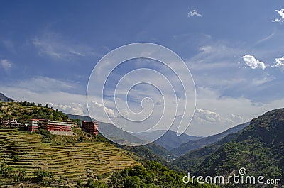 Terrace paddy fields near Rudraprayag, Garhwal, Uttarakhand, India Stock Photo