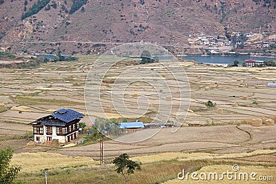 Terraced farmaland, Paro, Bhutan Stock Photo