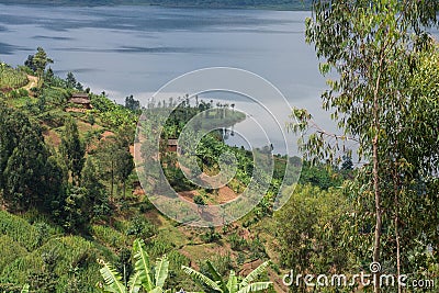 Terraced Field by Lake Ruhondo, Rwanda Stock Photo