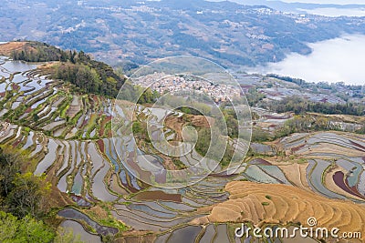 Terraced field landscape and village in morning Stock Photo