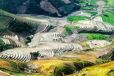 Terraced fields of the ethnic people in Northern Vietnam Stock Photo