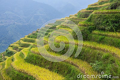 Terraced fields in Longsheng Stock Photo