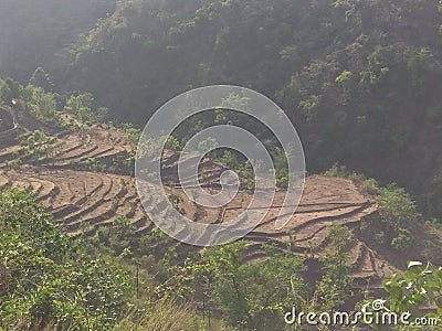 The Living Staircase: Captivating Terraced Fields Stock Photo