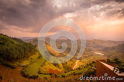 Terraced fields at sunset in the valley with Virunga Volcanoes in background from Kisoro in colorful early morning,. Kisoro Distri Stock Photo