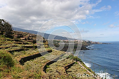 Terraced land next to the ocean Stock Photo