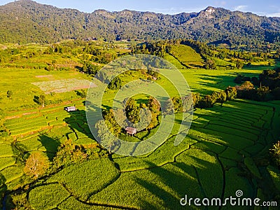 Terraced Rice Field in Chiangmai, Royal Project Khun Pae Northern Thailand Stock Photo