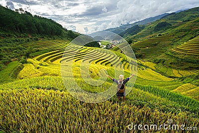 Terraced rice field in harvest season with ethnic minority woman on field in Mu Cang Chai, Vietnam. Stock Photo