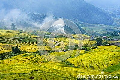 Terraced rice field landscape in harvesting season in Y Ty, Bat Xat district, Lao Cai, north Vietnam Stock Photo