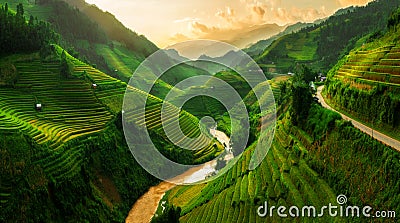 Terraced rice field in Mu Cang Chai, Vietnam Stock Photo