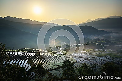 Terraced rice field in water season, the time before starting grow rice, with clouds on background in Y Ty, Lao Cai province, Viet Stock Photo