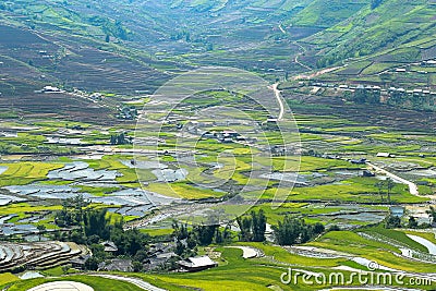 Terraced rice fields in Vietnam Stock Photo