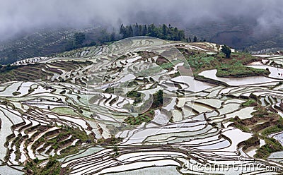 Terraced rice fields in Yuanyang county, Yunnan, China Stock Photo