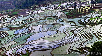 Terraced rice fields in Yunnan province, China Stock Photo