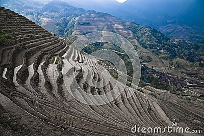 Terraced rice paddies Stock Photo