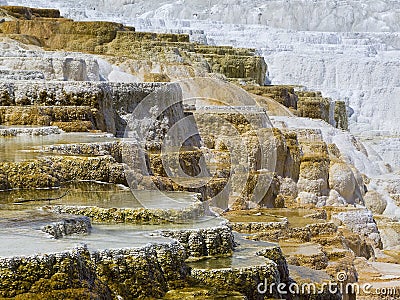 Terraces at Mommoth Hot Springs, Yellowstone Stock Photo