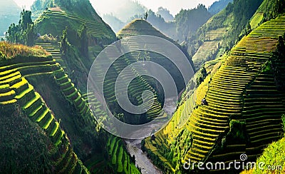 Terraces rice fields on mountain in Northwest of Vietnam Stock Photo