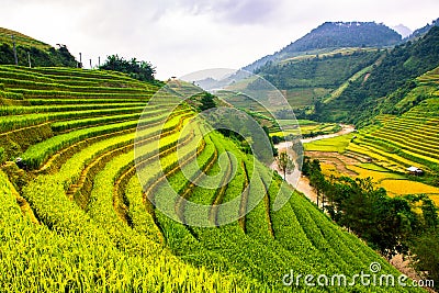 Terraces rice fields on mountain in Northwest of Vietnam Stock Photo