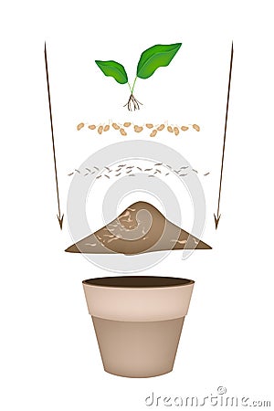 Terracotta Flower Pots with Soil and Young Plant Vector Illustration