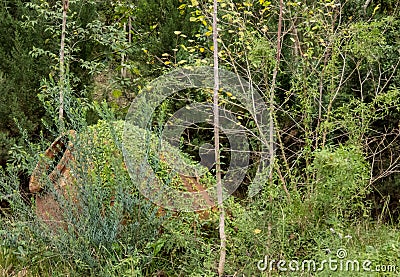 Terracotta water urn in overgrown deserted garden Stock Photo