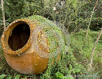 Terracotta water urn in overgrown deserted garden Stock Photo