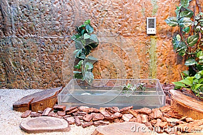 Terrarium Stock Photo