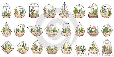 Terrarium for plants flat icons set. Small and enclosed environment for cactus, succulent, aloe vera. Mini-greenhouse Vector Illustration